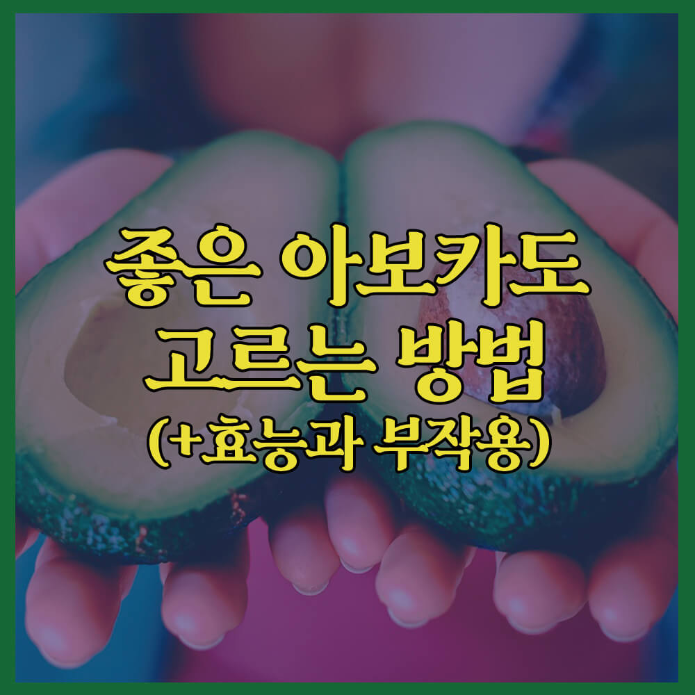 좋은아보카도고르는방법, 효능, 부작용, 환경파괴
