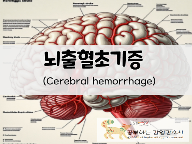 뇌출혈(cerebral hemorrhage)의 원인, 초기 증상과 전조 증상 및 검사, 그리고 치료와 재활 알아보기