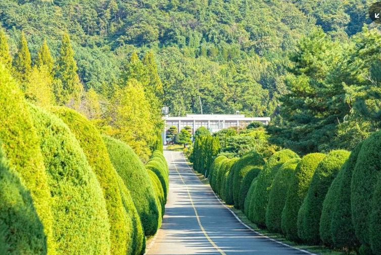 전남 나주 반값 여행 경비 지원금 신청 방법