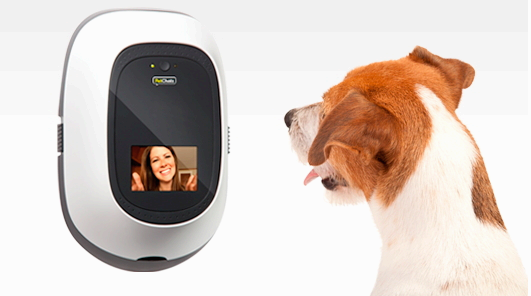 비대면 반려동물 헬스케어 - 비대면 센서를 활용한 반려동물 건강 모니터링은 어떻게 이루어질까?