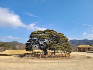 부모님과 함께하기 좋은 국내 여행지 5선4