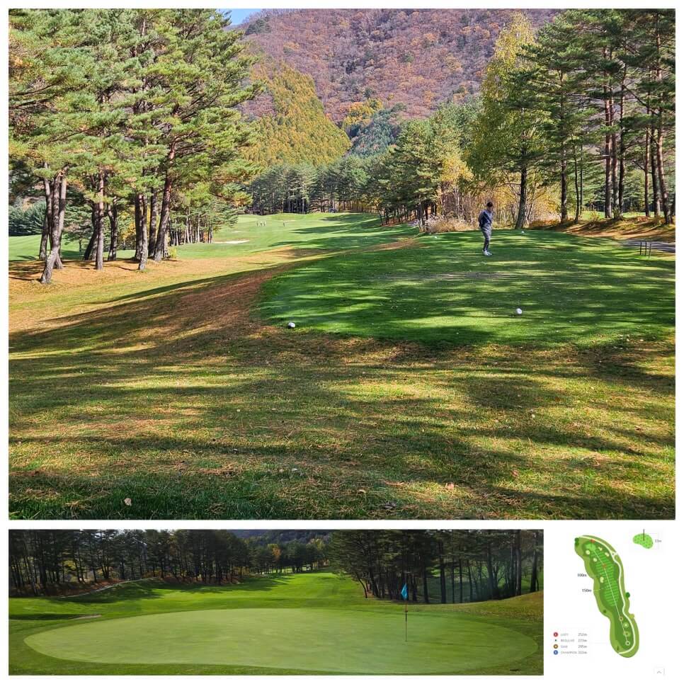 골프장 경험담 모나용평cc 해발 780m 청정 지역의 골프장 용평 리조트