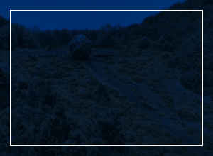 아라문의 검 8회 줄거리 리뷰: 하늘 아래 최강의 생물