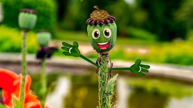 '지역 방언'과 '서울말(서울 방언)'의 차이