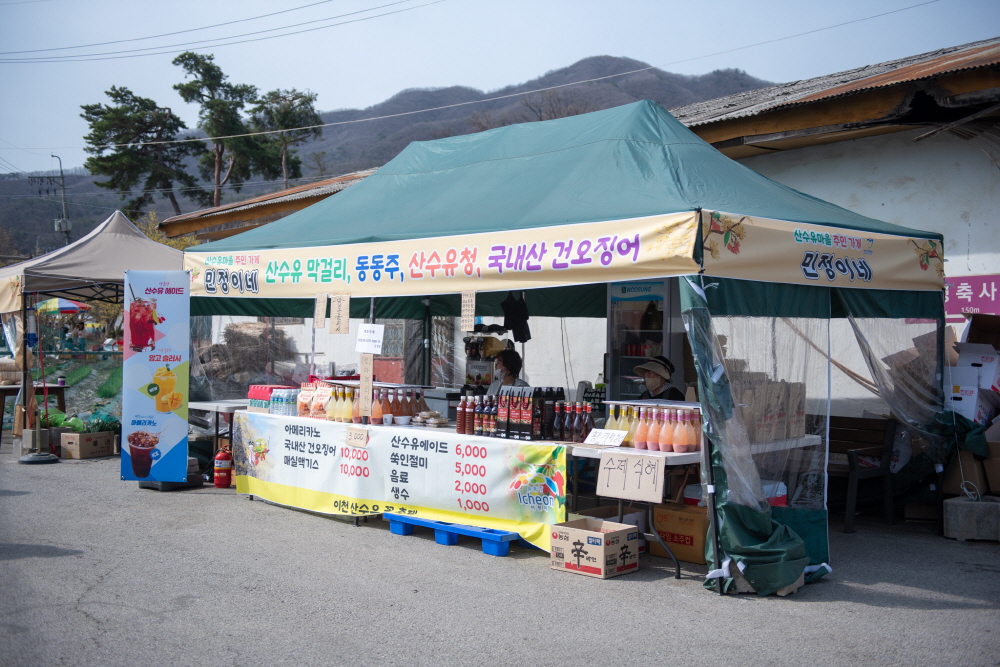 제26회 이천백사산수유꽃축제 일정 &amp; 프로그램 안내/ 주차 안내