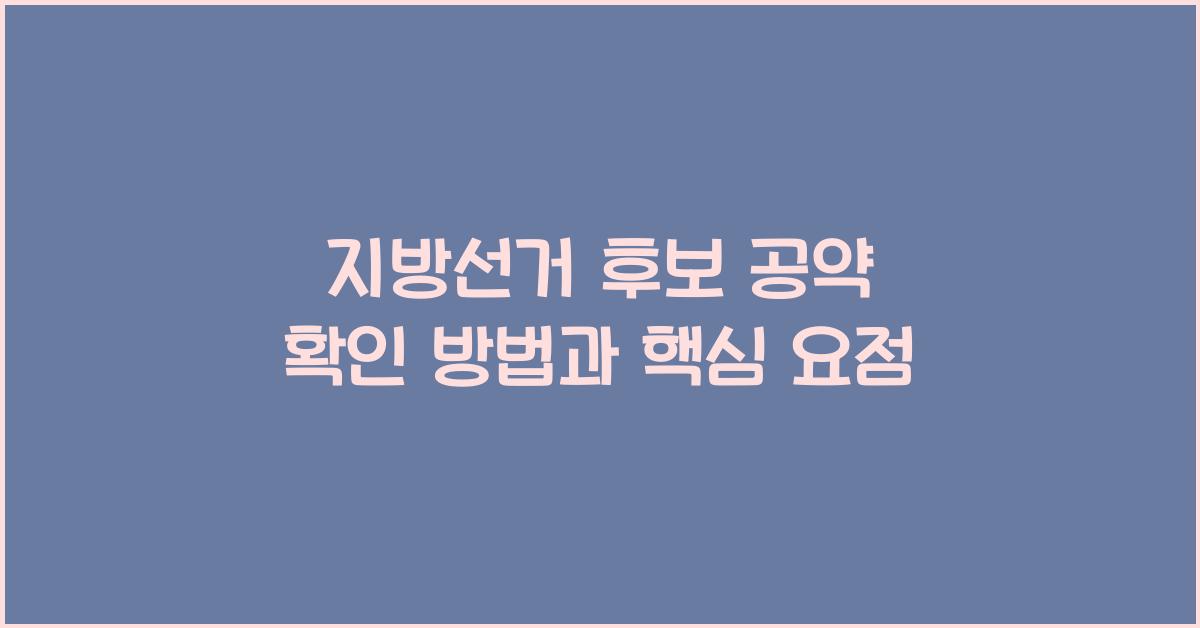 지방선거 후보 공약 확인