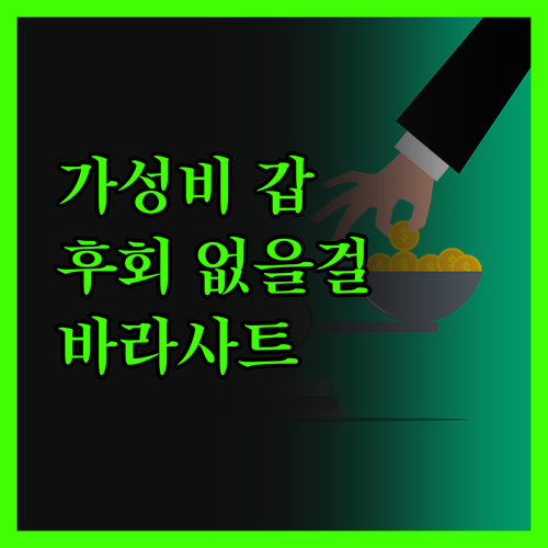 바라사트 링크 아에로! 가성비 최고,