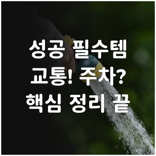 성공적인 해돋이 2026년 교통 통제..