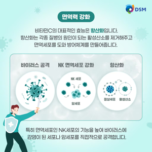 면역력에 좋은 비타민