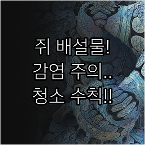 쥐 배설물 청소 시 꼭 지켜야 할 안..