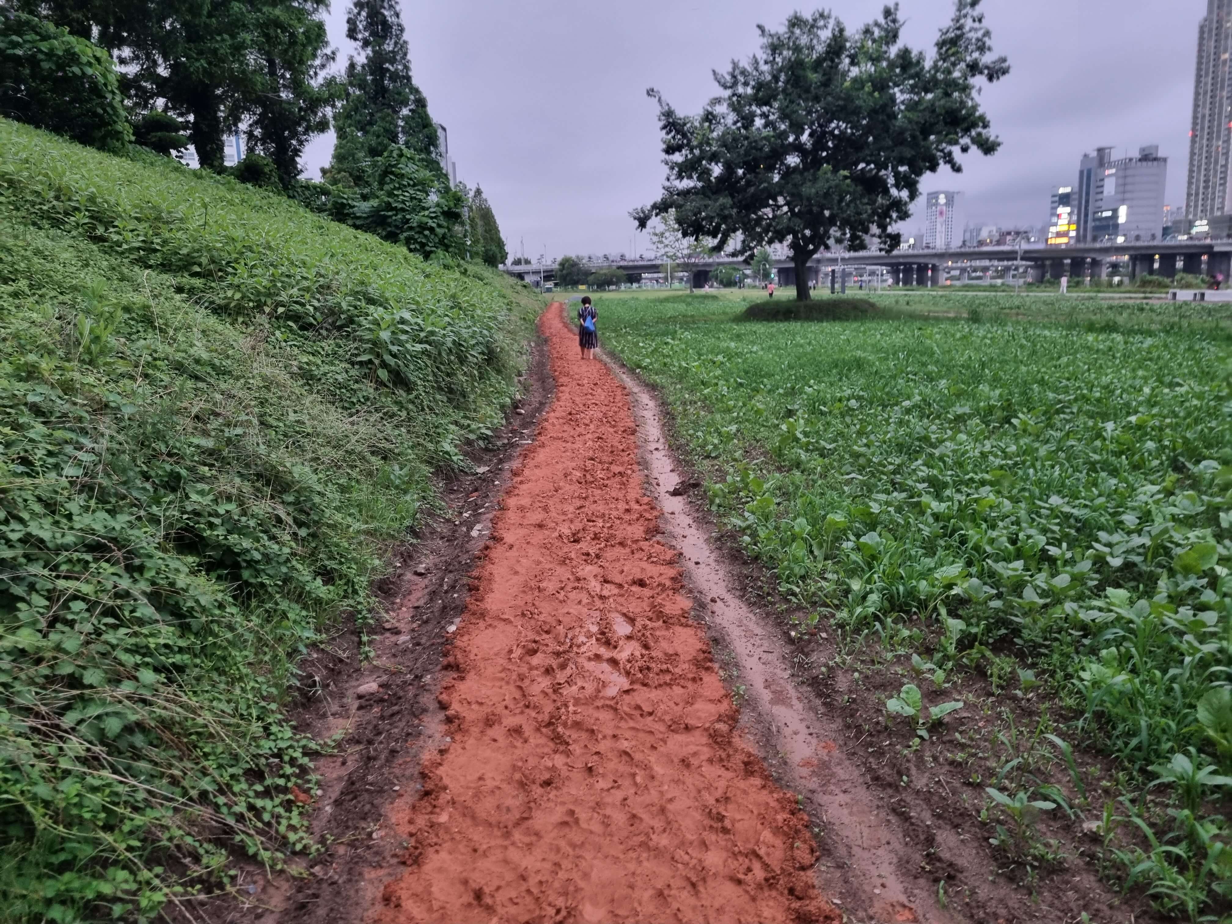 울산 태화강 황톳길