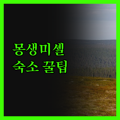 몽생미셸 호텔 예약 전 필독! 숨겨진