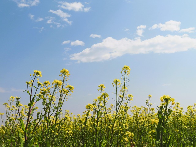 경제적불평등과 빈곤