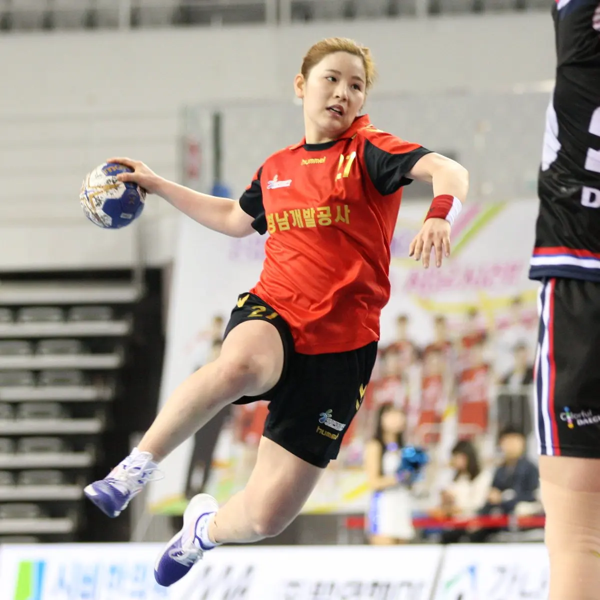 핸드볼 선수 이력과 커리어