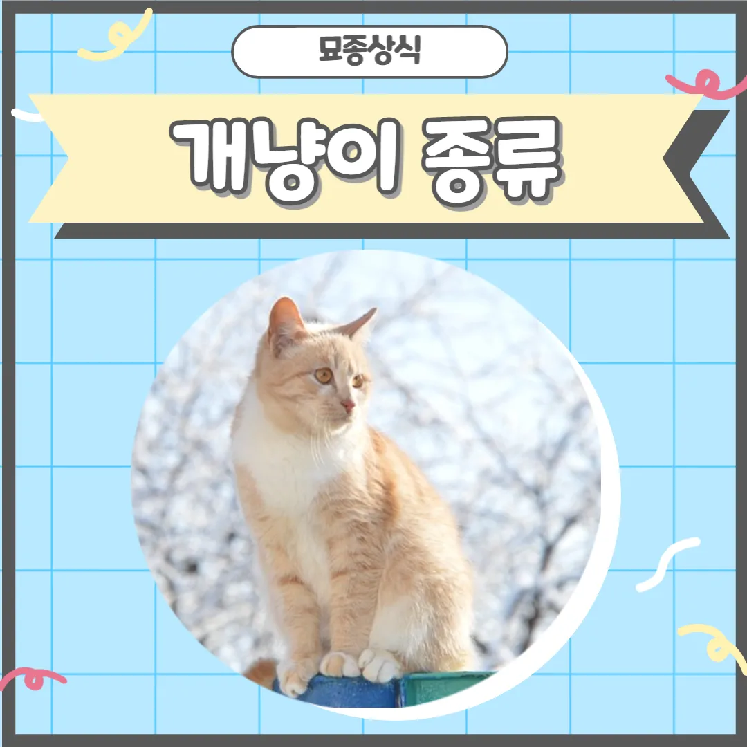 &amp;quot;개냥이