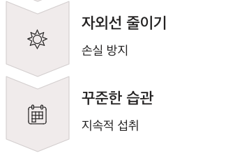 콜라겐 꾸준한 습관