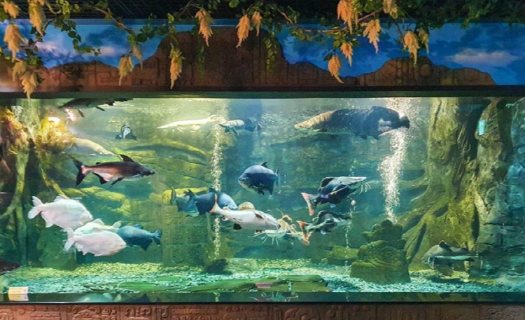 단양 아쿠아리움