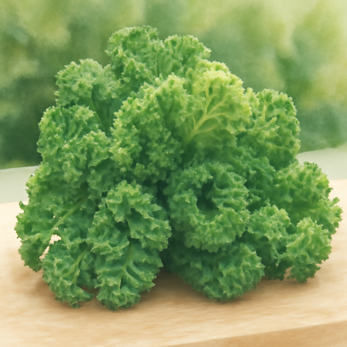 컬리케일_효능_5가지