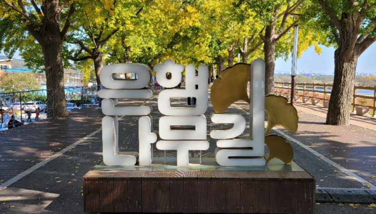 아산 곡교천 단풍나무길