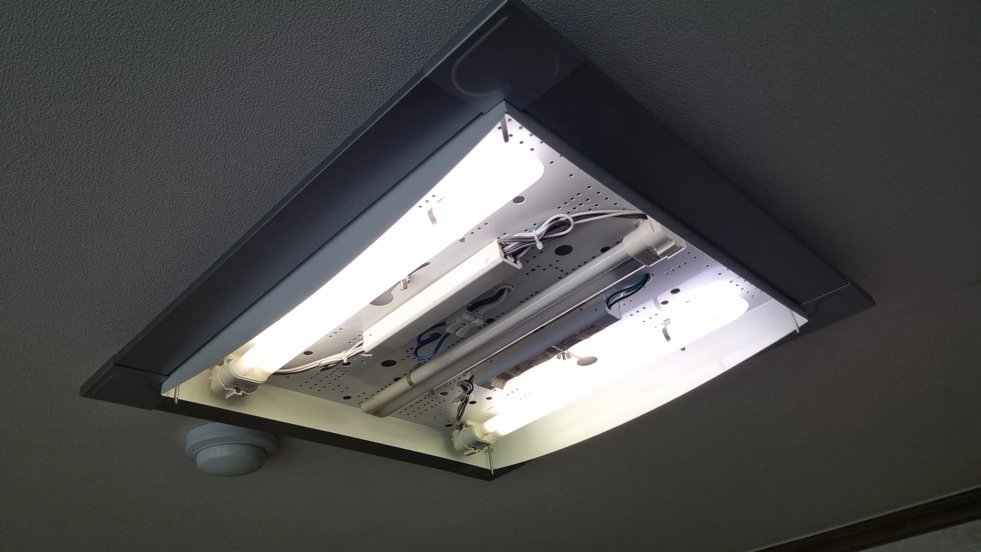 삼파장 램프 켜진 모습