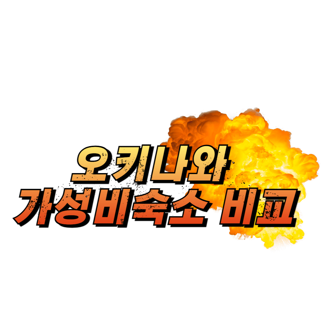 오키나와 가성비숙소