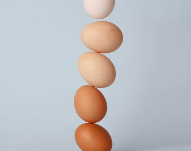 계란찜 전자렌지로 하는 방법