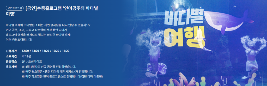 바다별 여행 프로그램