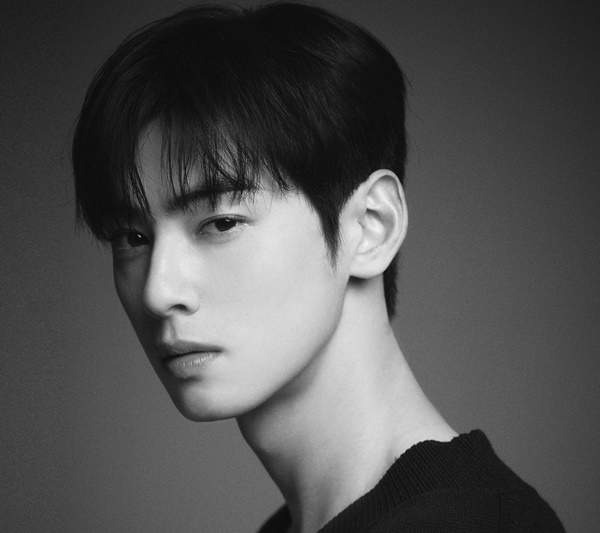 차은우 조세심판원 청구 승소 확률과 행정소송 3대 시나리오 정밀 예측, 낸 돈 130억 다시 돌려받을까?