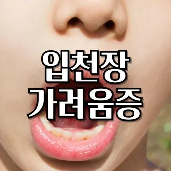 입천장 헐었을 때 면역력 저하 관련 증상과 영양 관리법_10