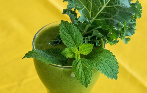 케일 주스 사진