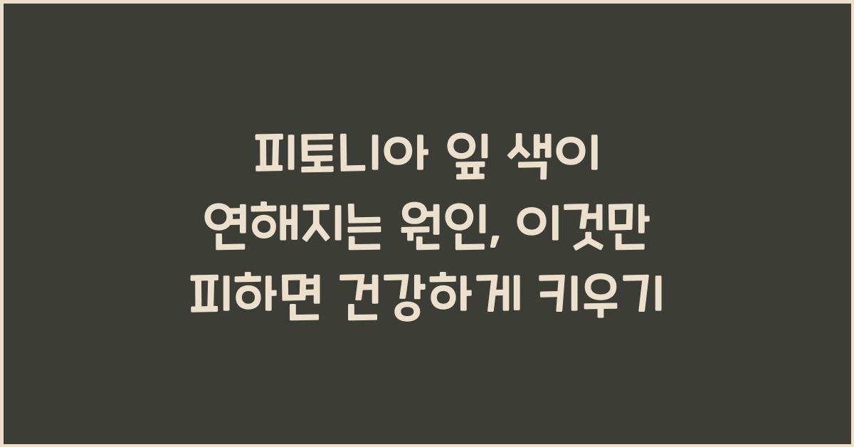 피토니아 잎 색이 연해지는 원인, 이것만 피하면 됩니다