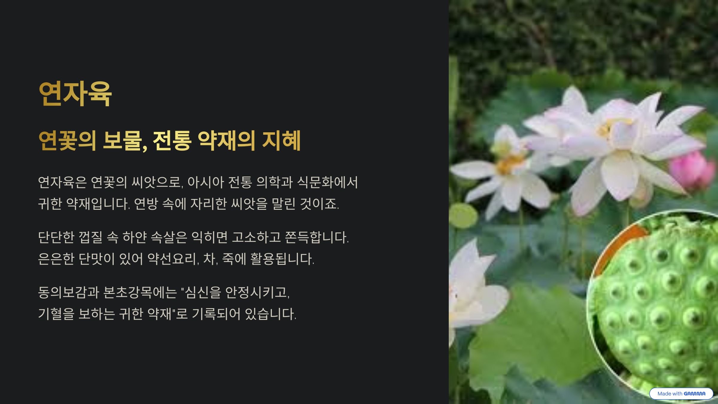 연자육 이란