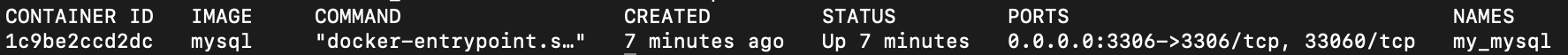 docker ps 실행 결과
