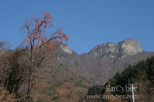 2025 해돋이 명소 추천&amp;#44; 일출 시간 