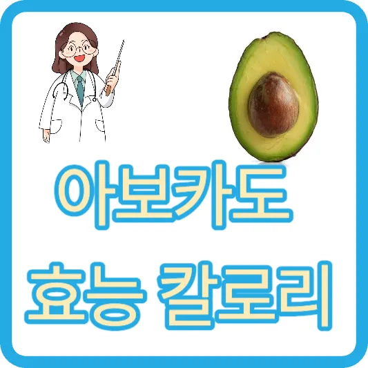 아보카도 효능 아보카드 효과 냉동아보카도 이마트 아보카도 칼로리