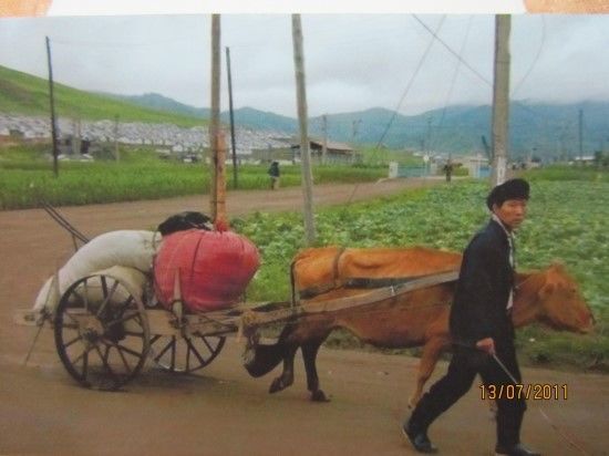 후진국 북한