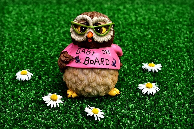 가사 도우미 신청