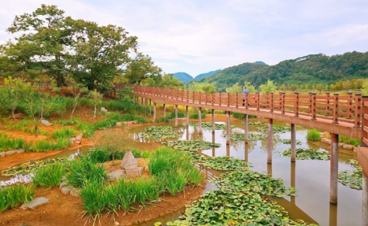 옥정호 출렁다리