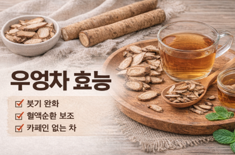 우엉차 효능 및 부작용, 물 대신 마셔도 될까? (카페인 없는차)