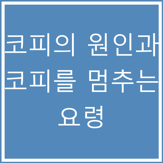 코피의 원인과 코피를 멈추는 요령