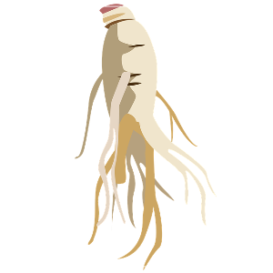 8체질 자가진단 테스트 나의 체질 알아보는 방법 