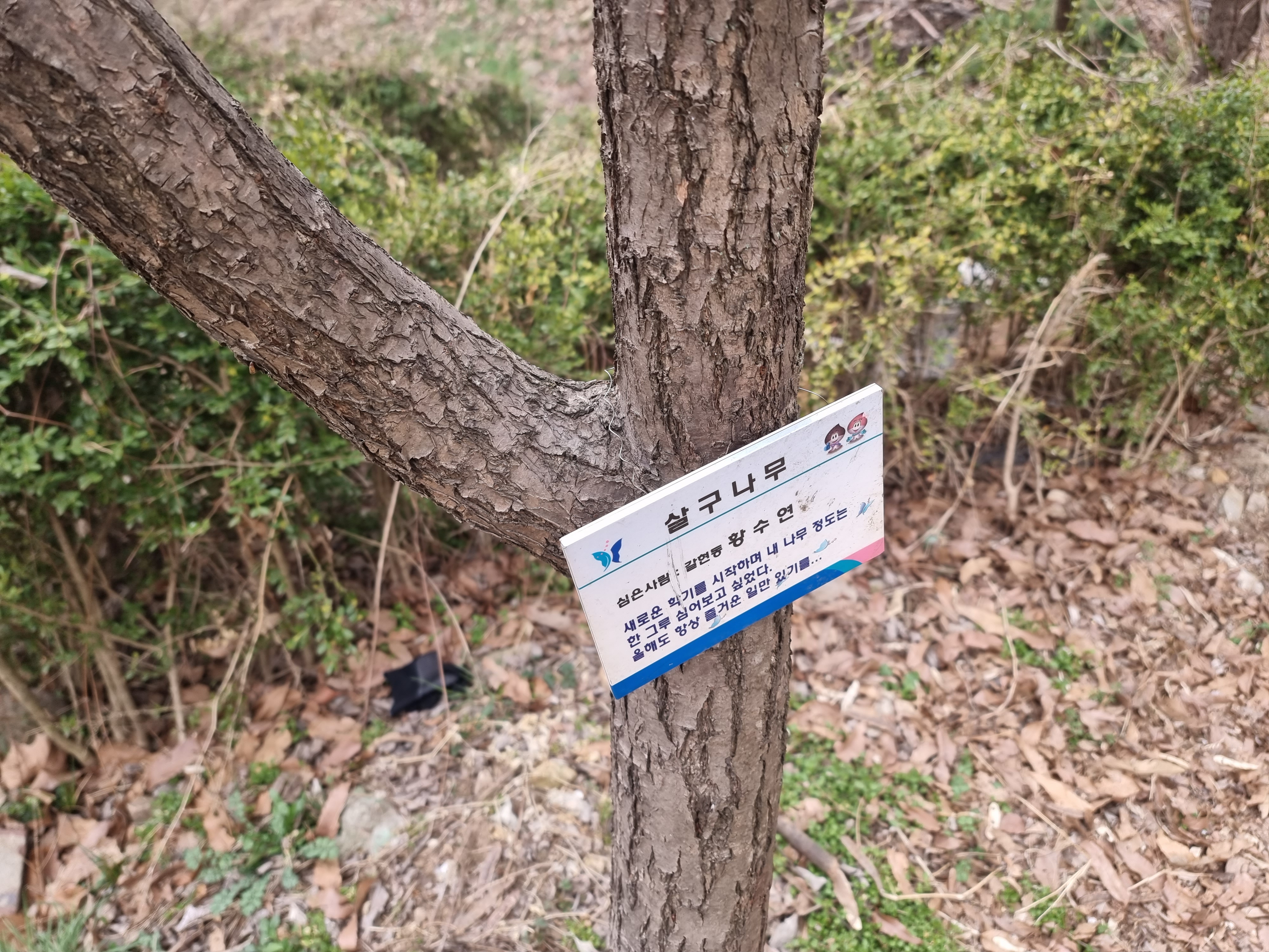 식물 이름 찾기 어플
