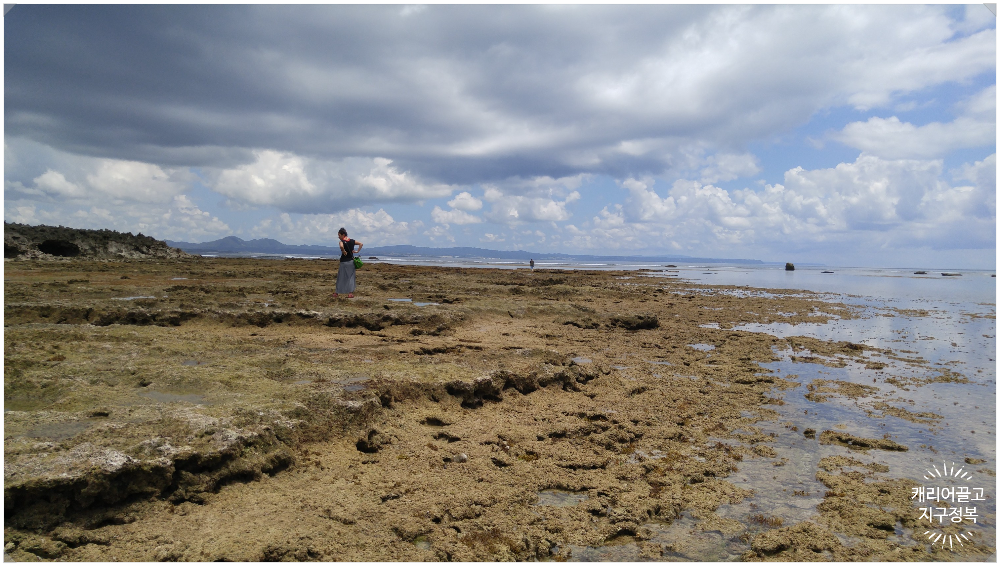 오키나와 소라게