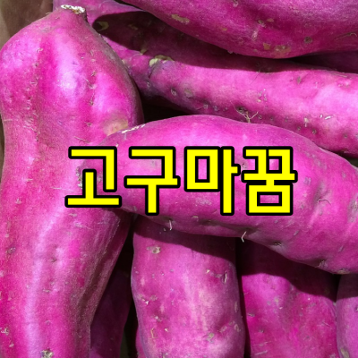 고구마