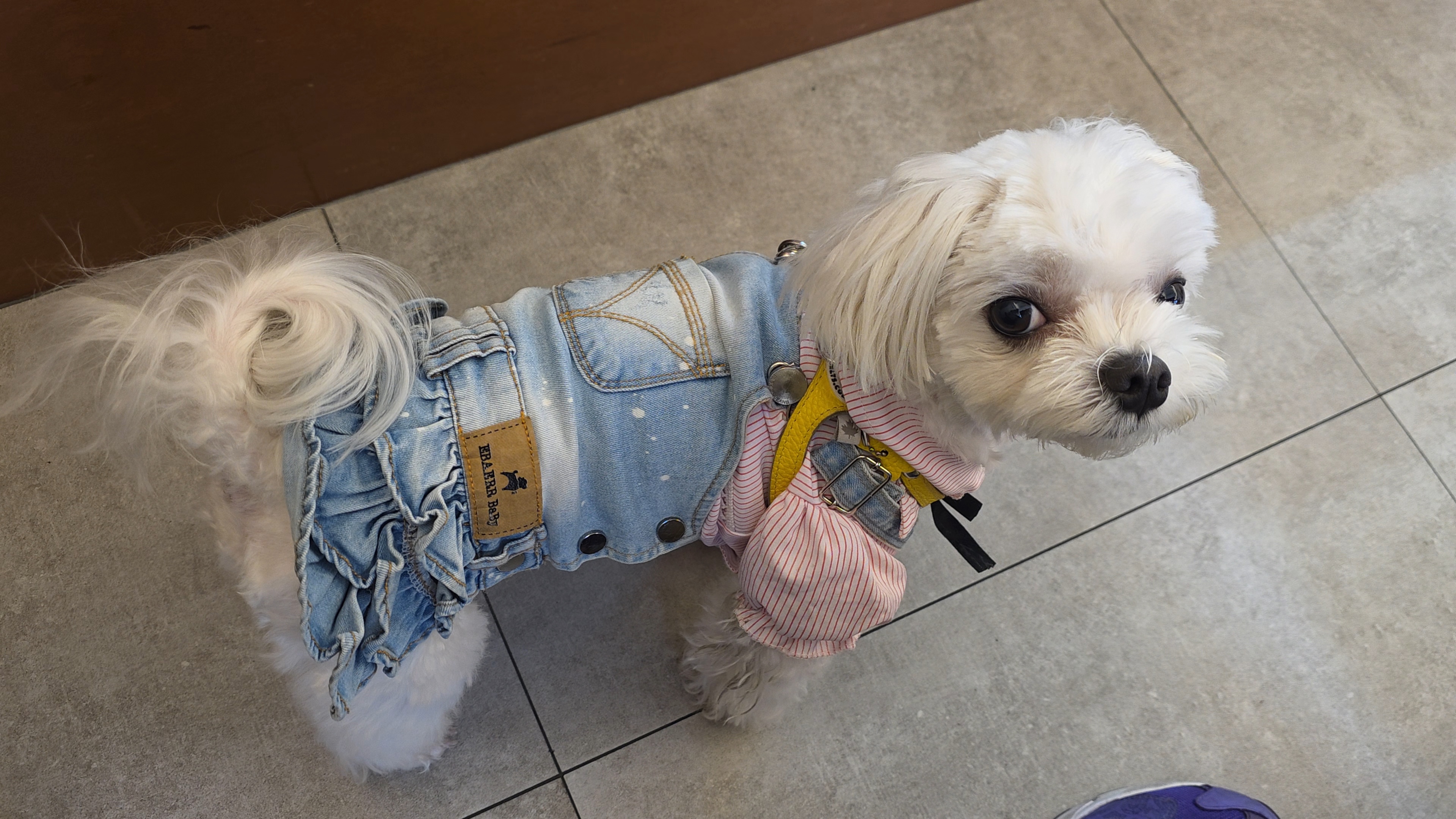 카페내 라떼 모습