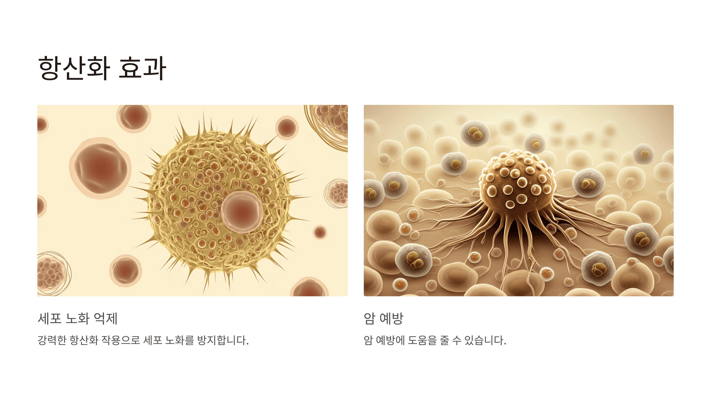 식물성오메가3와 관련된 사진입니다.