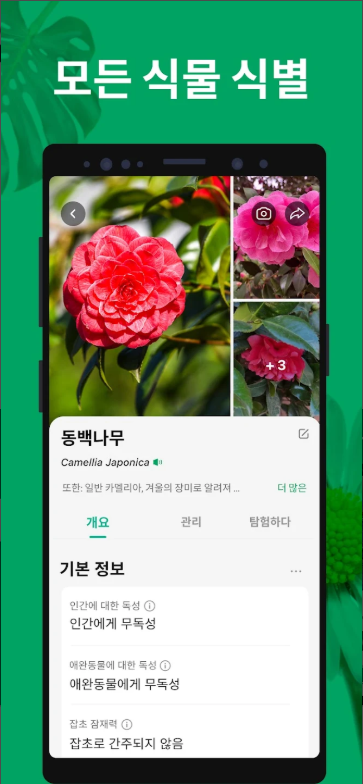 식물이름 찾기 어플, 식물 검색하고 찾기