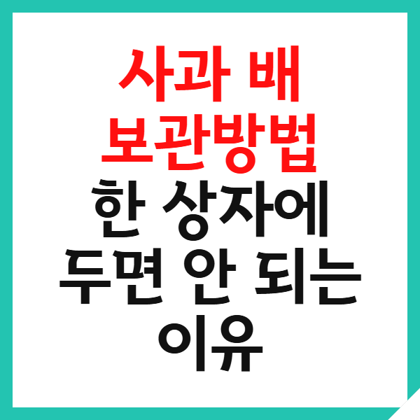 사과 배 보관방법