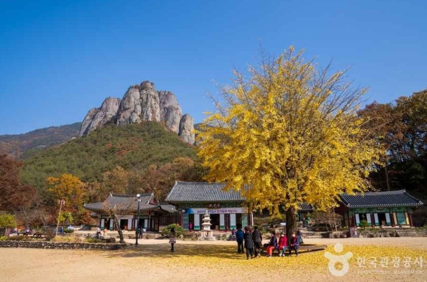 청송 가볼만한곳 베스트 10