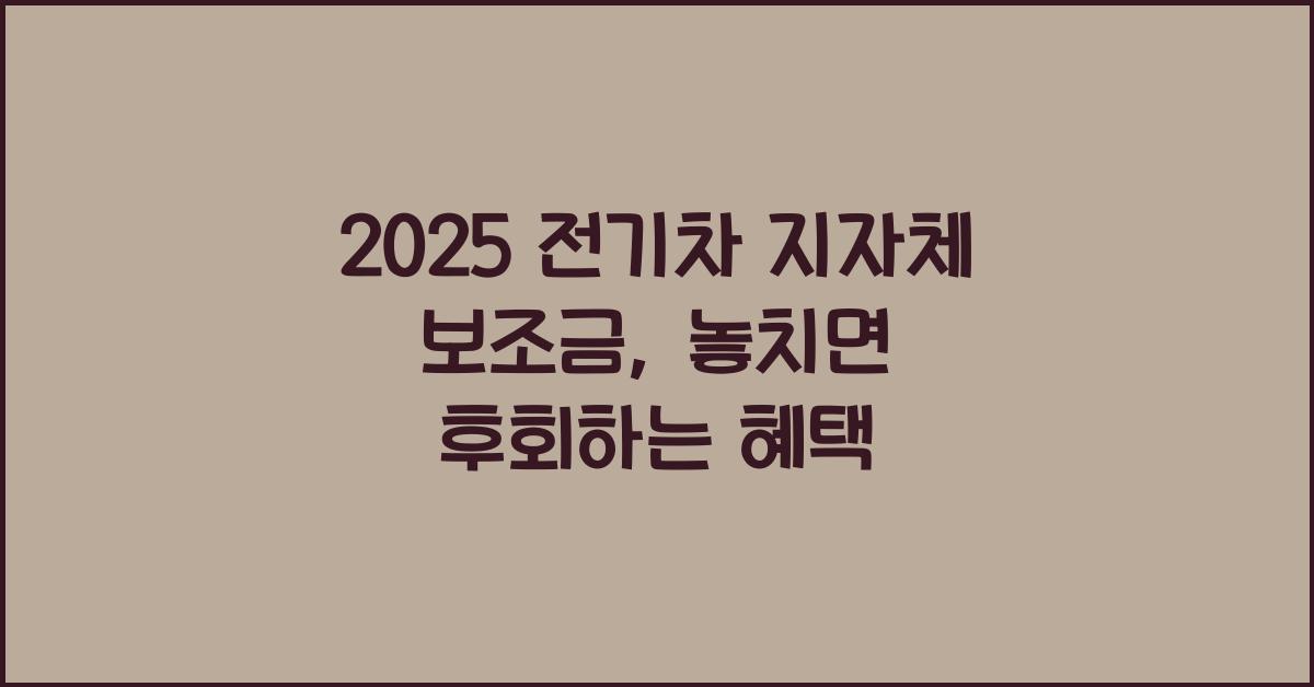 2025 전기차 지자체 보조금